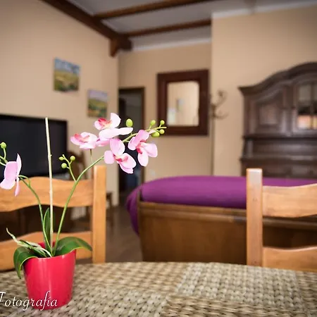 Casa Menchu Casa rural *